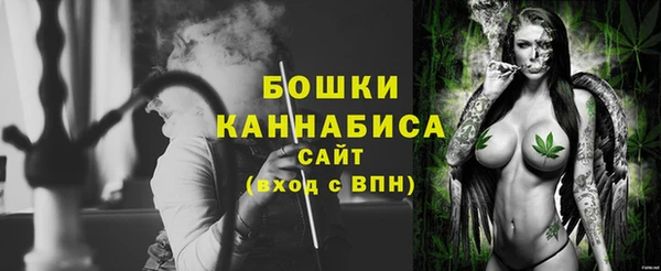 индика Слюдянка