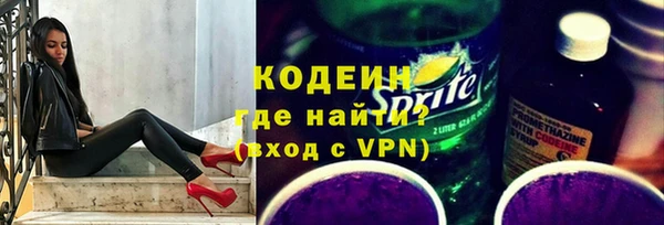 шишки Осташков