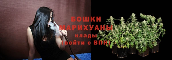 СК Няндома