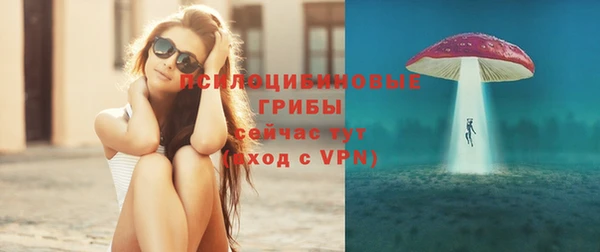 индика Слюдянка