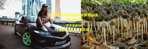шишки Остров