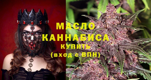 шишки Осташков