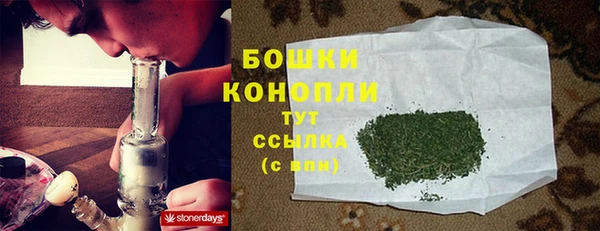 шишки Остров