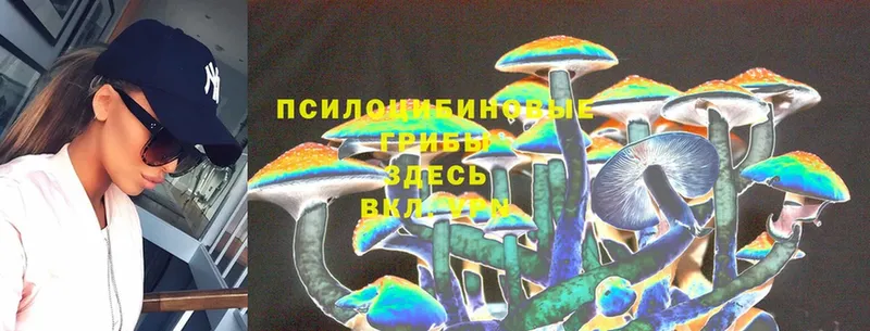 что такое   Ирбит  Псилоцибиновые грибы Psilocybine cubensis 