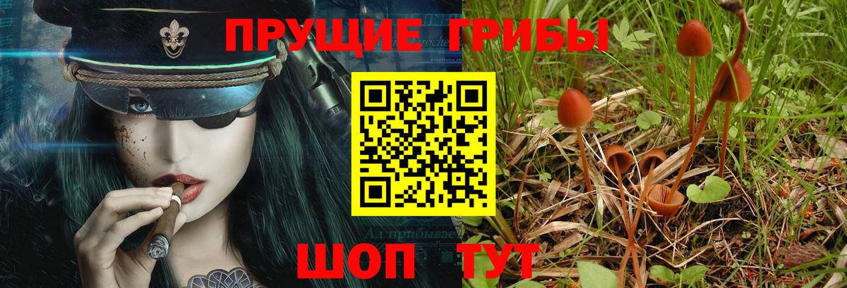 купить закладку  Псилоцибиновые грибы прущие грибы  Псилоцибиновые грибы GOLDEN TEACHER  Вход с VPN  Ирбит 